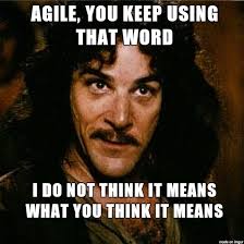 Agile not Doing it for You? Here’s Why